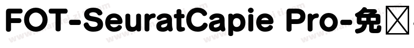 FOT-SeuratCapie Pro字体转换